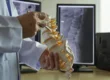 Endoscopic Spine Surgery