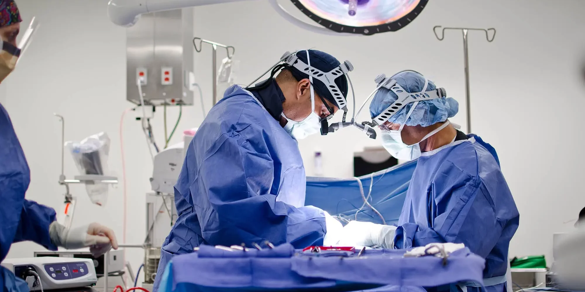 Slipped Disc Slipped Disc