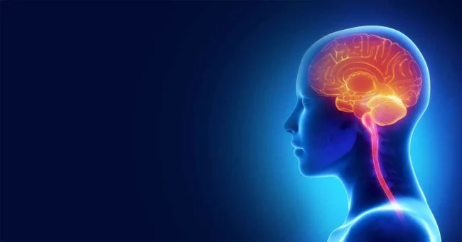 facts and Advice facts and Advice